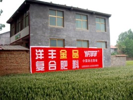 连云港如何让墙体广告展现最大化效果