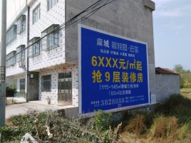 连云港墙体广告质量分析