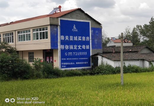 连云港决定墙体广告价格的因素有哪些?