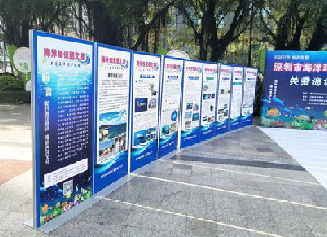 连云港KT板的种类和知识。